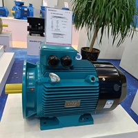 Moteur électrique chinois Wolong triphasé 380V/440V IE3 à haut rendement avec boîtier en aluminium