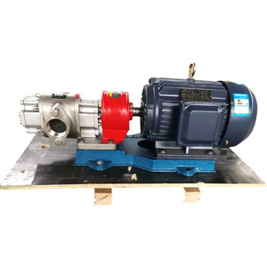 Pompe à lubrification externe en acier inoxydable Fxa, matériau 304, pompe à engrenages rotative à entraînement électrique pour le transport d'huile hydraulique - Product Image 3