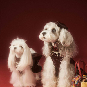 Elegant Personalized Lightweight Faux Leather Pet Dress for Small Dogs <b>Cats</b> Shiny Wine Red Skirt Tassel Rhinestone Collar - Product Image 5