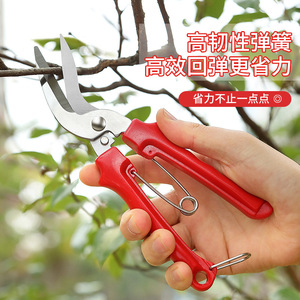 Garden Shears Stainless Steel 50mm Red Curved Head <b>Pruning</b> <b>Tool</b> For Flower And Fruit <b>Tree</b> Trimming - Product Image 1