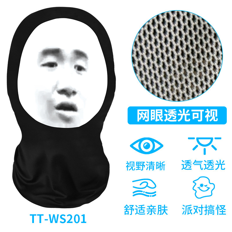 TT-WS201