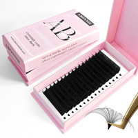 Extensions de cils en velours PBT coréen, personnalisables en gros, plateaux de cils en cachemire, fournitures individuelles pour extensions de cils, extensions de cils mats