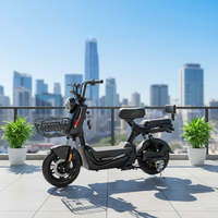 Vélo Électrique de Ville pour Adultes, 350W 48V, Vente en Gros Usine, Trottinette Électrique à Deux Roues