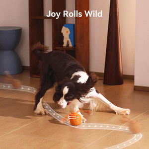 E-TPU Material Eco-friendly Interactive <b>Dog</b> Toy Wicked <b>Ball</b> Rolly Shell - Product Image 6
