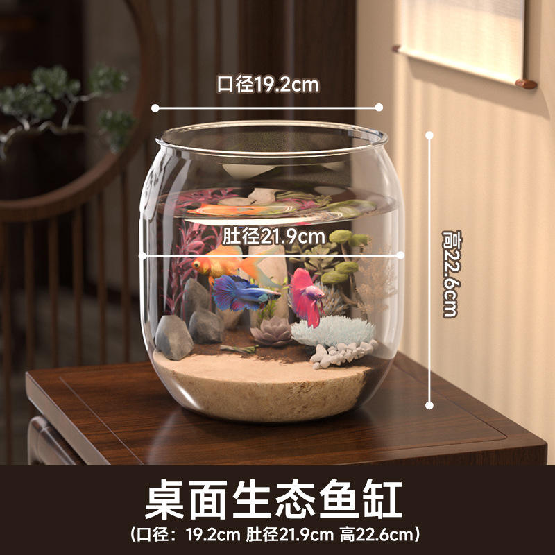 โปร่งใส