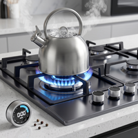 Cuisinière à gaz, plaque de cuisson électrique encastrable à quatre brûleurs en acier inoxydable, design double bordure pour comptoir, allumage électronique, multi-brûleurs
