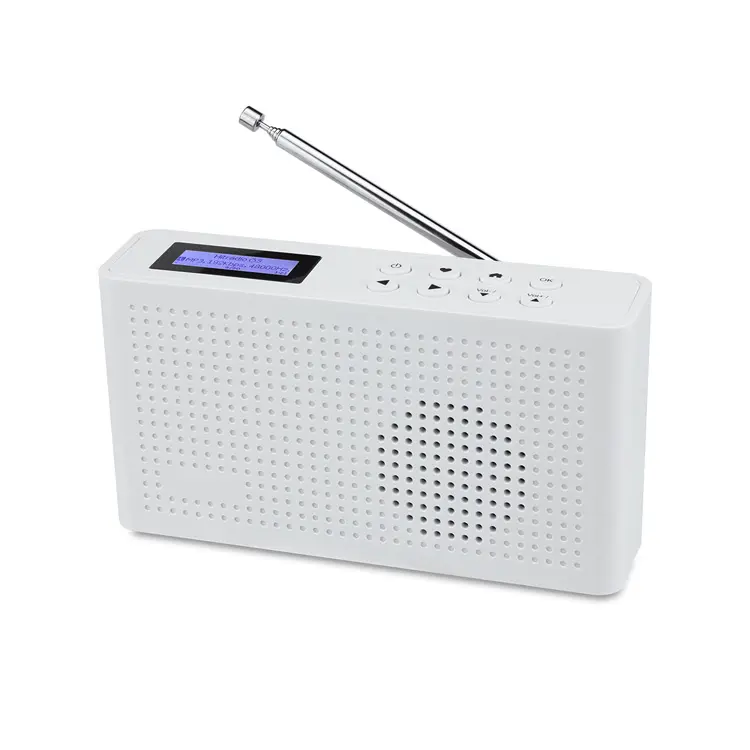 MA-26D Draagbare Internet Radio Met Dab/Fm Bluetooth Speaker En Ingebouwde Met Lithium Batterij