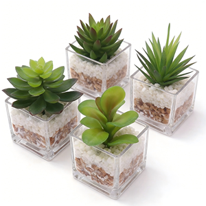Set di 4 <span class=keywords><strong>Piante</strong></span> Succulente Artificiali di Alta Qualità in Vasi di Vetro, Piccole <span class=keywords><strong>Piante</strong></span> Finte per Decorazione Finestre - Product Image 3