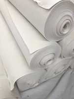 Geotextil de Refuerzo Antienvejecimiento, Tejido de Fibra Discontinua de Alta Tenacidad, Dimensionalmente Estable para Proyectos de Recuperación de Terrenos