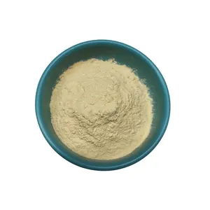 Ginseng Extract Ginseng 80% Ginsenosides