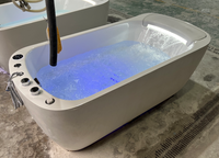 Baignoire autoportante chauffée pour adultes avec cascade LED, température constante, coussin de massage à bulles, spa