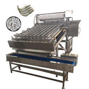 Macchina per decapazione gamberetti ad alta produttività/macchina per deviare gamberetti/macchina per pelapatate - Product Image 5