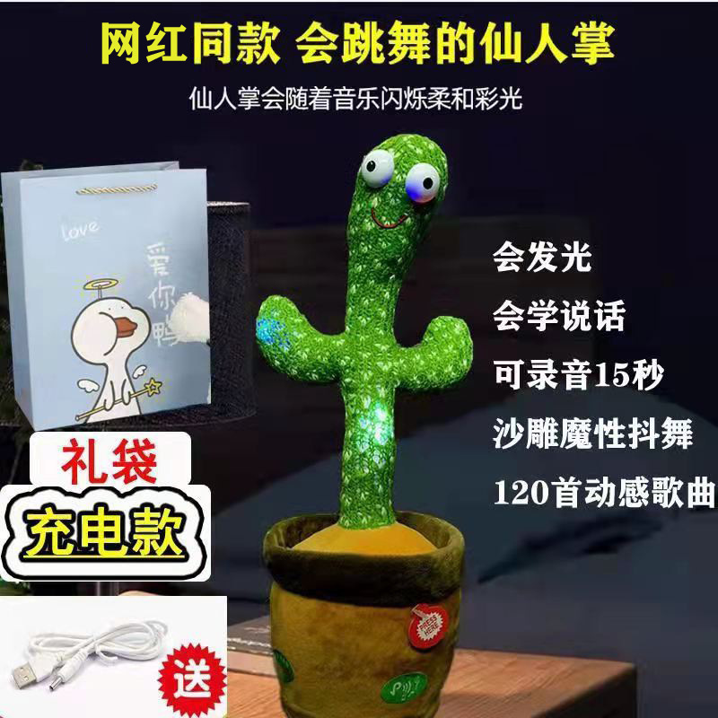 Borsa regalo cactus