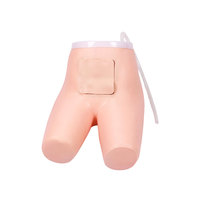 Modèle avancé de formation à la défécation assistée par lavement en PVC DARHMMY pour les écoles et les hôpitaux de formation d'infirmières