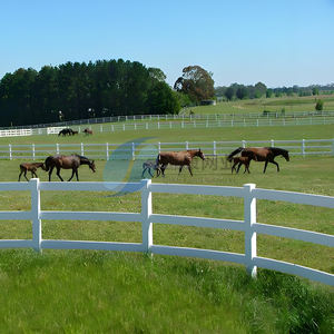 Valla de Rancho de Carreras de Caballos de PVC blanco flexible sólido, Tres rieles, cercado de PVC para carreras, puertas de enrejado, servicio de modelado 3D disponible - Product Image 6