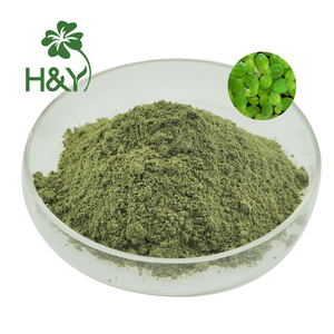 Weed weed özü tozu Duckweed tozu ortak Duckweed tozu - Product Image 3