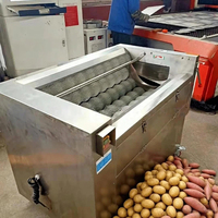 Automatische aardappel schilmachine, commerciële borstelwasser, roestvrijstalen groenteschiller voor wortel, gember, taro en yam verwerking.