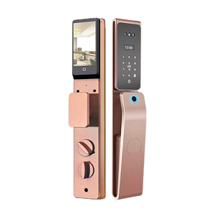 Outdoor Waterproof Card Universal Face Recognition TUYA TTLOCK Smart Lock Remote Unlock - Product Image 3