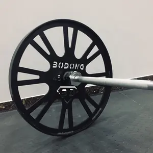 체육관 운동 장비 훈련 역도 큰 바퀴 쌍 주철 바벨 45lb 웨이트 플레이트