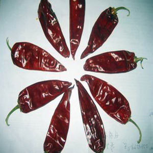 Venta al por mayor Mejor precio Chili fresco congelado picante Red Hot Chili Pepper al por mayor Hecho en Vietnam Jinta Chili Red Chilli Jinta - Product Image 1
