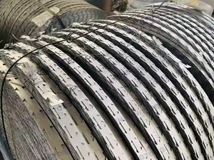 Thermisch Gegalvaniseerd Cbt65 Bto30 Bto-22 Dubbelstrengs Scheermesje Prikkeldraad Staal Beveiliging Gevangenis Gaas Rol Concertina - Product Image 2