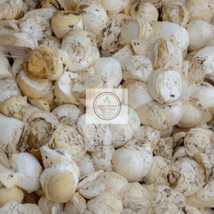 Cup Lump Rubber de Vietnam, calidad de exportación para la fabricación de neumáticos - Product Image 1