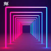 Petites enseignes néon décoratives murales alimentées par courant continu pour les magasins, les fêtes, les mariages - Lettres néon LED 3D personnalisées multicolores