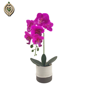 Orquídea artificial <span class=keywords><strong>de</strong></span> colores para decoración del hogar, orquídea artificial <span class=keywords><strong>de</strong></span> tacto real, plantas <span class=keywords><strong>de</strong></span> simulación, gran oferta - Product Image 2