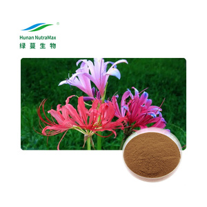 Poudre d'extrait de <span class=keywords><strong>Lycoris</strong></span> Radiata (Lys araignée <span class=keywords><strong>rouge</strong></span>) naturelle en vrac 10:1 - Product Image 1