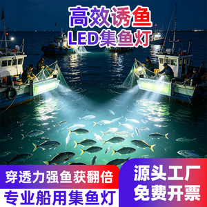 Lampe de pêche LED 120lm W, couleur verte, étanche IP65, en alliage d'aluminium, durée de vie de 50000 heures - Product Image 5