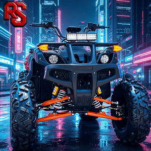 <span class=keywords><strong>Quad</strong></span> utilitaire Raxen 250 <span class=keywords><strong>cc</strong></span> pour la course sportive - Product Image 1