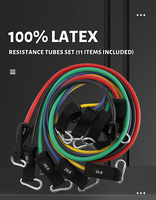 Kit d'entraînement complet Wavar de haute qualité avec 11 bandes de résistance pour yoga, différents niveaux, pour exercices de force et entraînement du corps entier
