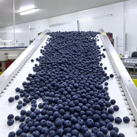 Poudre de Myrtille - 100% Pure, Lyophilisée, Anthocyanidines, Vitamine C, Qualité Alimentaire pour Smoothies et Pâtisseries