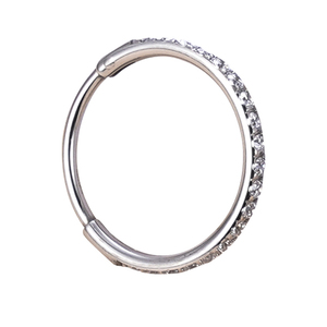 Anneau segmenté à charnière en titane de qualité implantable GZN ASTM F136, 20G, pour piercings de nez, bijoux de corps - Product Image 4