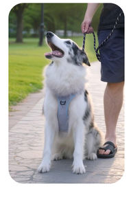 Correa Trenzada de Nailon para Perro en Oferta con Mango Antideslizante para un Fácil Control al Pasear a tu Mascota - Product Image 6