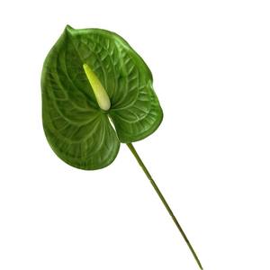 วัสดุดอกไม้ประดิษฐ์สีเขียว สำหรับงานแต่งงานระดับไฮเอนด์ ตกแต่งห้องประชุม จัดดอกไม้ ดีไซน์เรียบง่าย ของตกแต่ง แหล่งผลิตจากจีน - Product Image 5