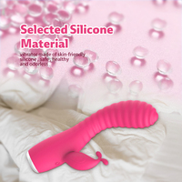 Vibrateur médical en silicone imperméable à l'eau rechargeable par USB, 20 fréquences, fonction de chauffage pour orgasme puissant, masturbation féminine