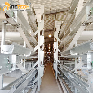 Tùy chỉnh đẻ gà mái chăn nuôi gia cầm thiết bị nhà cung cấp với trứng tự động hệ thống thu thập trong Chile - Product Image 2