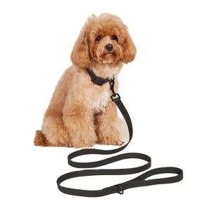 Collar suave impermeable personalizado para perro, juego de correas ajustables de PVC para mascotas, collares, correas, dijes, dispensador de soporte para bolsa de caca de perro - Product Image 6