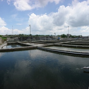 0.5mm 0.75mm <span class=keywords><strong>HDPE</strong></span> polyethylene <span class=keywords><strong>geomembrane</strong></span> hiệu suất cao, chống rò rỉ cho xây dựng hồ chứa đập - Product Image 5