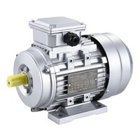 Motor Listrik Asinkron Satu Fasa/Tiga Fasa YS Cangkang Aluminium 380V/220V Horizontal 1400 Rpm 0.37/0.55/0.75/1.1/1.5/2.2/4KW