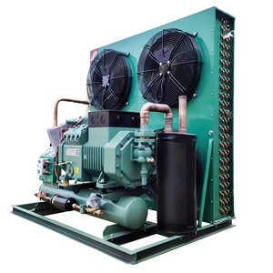 Para Bitzer China Equipo de refrigeración de almacenamiento en frío Congelador rápido con compresor Copeland Unidad de congelador de alta eficiencia - Product Image 2