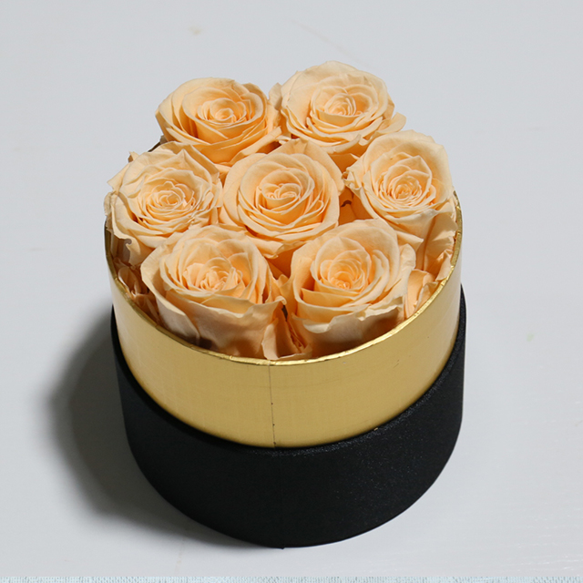7 champagne roses in round box