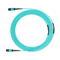 Yüksek Kaliteli 12 Çekirdekli MPO Push Pull Tab Trunk Kablosu, Veri Merkezi/FTTX Kullanımı için Aqua Kılıflı