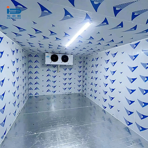 Cámara Frigorífica para la Conservación de Zanahorias y Vegetales con Paneles Solares, Compresores Copeland/Emerson, Control Digital y Control Remoto - Product Image 6