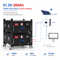 Solusi Baterai LiFePO4 Rak Mount EU StockOEM 51.2V 200Ah 10kWh untuk Integrator Sistem Penyimpanan Energi Surya
