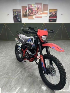 Nouvelle moto tout-terrain 6 vitesses aspirée avec une cylindrée de 300 cm³ pour les propriétaires de chiens 300 cm³ 300 cm³ Moto tout-terrain - Product Image 6