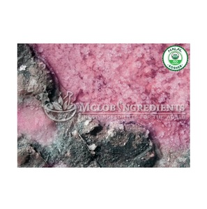 Extrait de poudre de Dunaliella Salina naturel riche en bêta-carotène pour le soutien immunitaire, la santé des yeux, la protection antioxydante de la peau - Product Image 4
