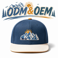 Gorra deportiva de 6 paneles con logotipo bordado a granel, unisex, para fiestas en la playa, con visera plana común y cierre snapback, de proveedor de fábrica.