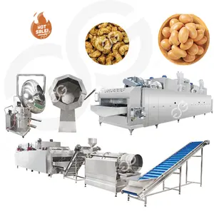 Fishskin Peanut Making Equipment Provider High Quality Roasted Coated Flour Peanut Machine Flavored Peanut Coated Machine
